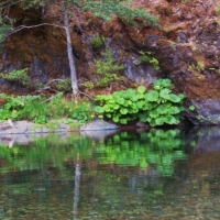 the Salon river in California