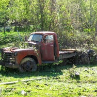 going back to nature