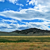 Scott Valley Californiia