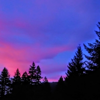 purple and pink sky