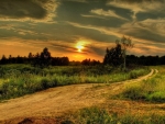 Sunset at the country road