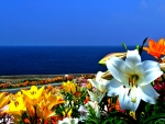 Seaside floral Rainbow