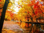 Autumn River