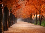 Beautiful Autumn Scene