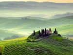 Tuscan Morning