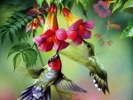 Hummingbirds And Flowers
