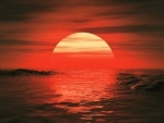 amazing red sunset