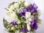 Freesias