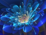 blue flower