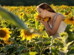 Sunflower Love