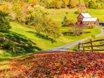 Autumn in Vermont