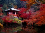 Autumn In Japan