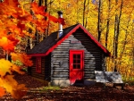 Fall Cabin