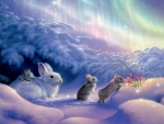 Rabbits In Winter