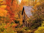 Autumn Cabin
