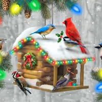 Festive Feathered Friends