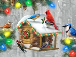 Festive Feathered Friends