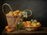 Fresh apricots