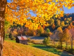 Autumn in Vermont