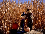 Scarecrow And Pumpkins