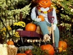 Scarecrow And Pumpkins