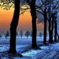 Winter Sunset