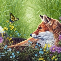 Fox and butterfly