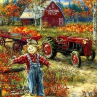 The Pumpkin Patch Farm