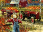 The Pumpkin Patch Farm