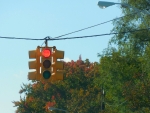 Red Light, Red Leaves
