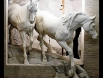Marble Horses Stepping Out Of A Wall