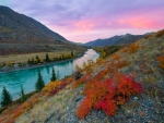 Autumn on the River in Altai Krai,