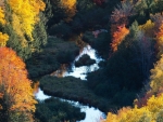 The River in the Autumn Forest