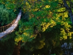 SuSpension Bridge over Water in the Evening Light