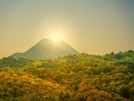 Forest at the Foot of the Mountains at Sunset