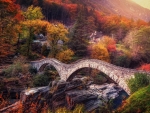 Ponte dei Salti at Fall (Switzerland)