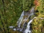 Forest Falls