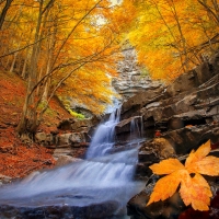 Autumn waterfall