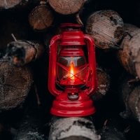 ã€ãƒ„ firewood