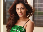 Payal Rohatgi