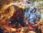 Star Cluster  R136