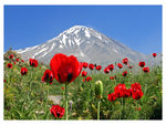 damavand mountain