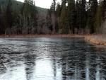 Icy Lake Riley