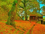Autumn Castle/Kumamoto Castle,Japan