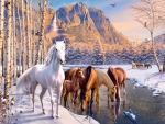 Winter horses