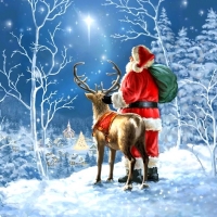Starry Night Santa Claus