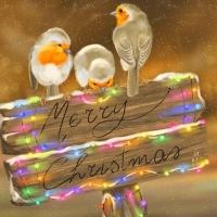 Do they know its Christmas