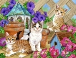 kittens in the garden