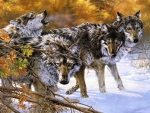 wolves