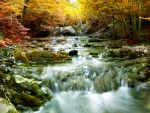 Autumn Stream